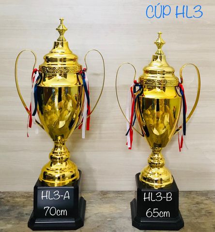 Cup Lưu Niệm Thể Thao HL3