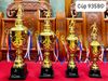 Cup Lưu Niệm Thể Thao 935 BĐ