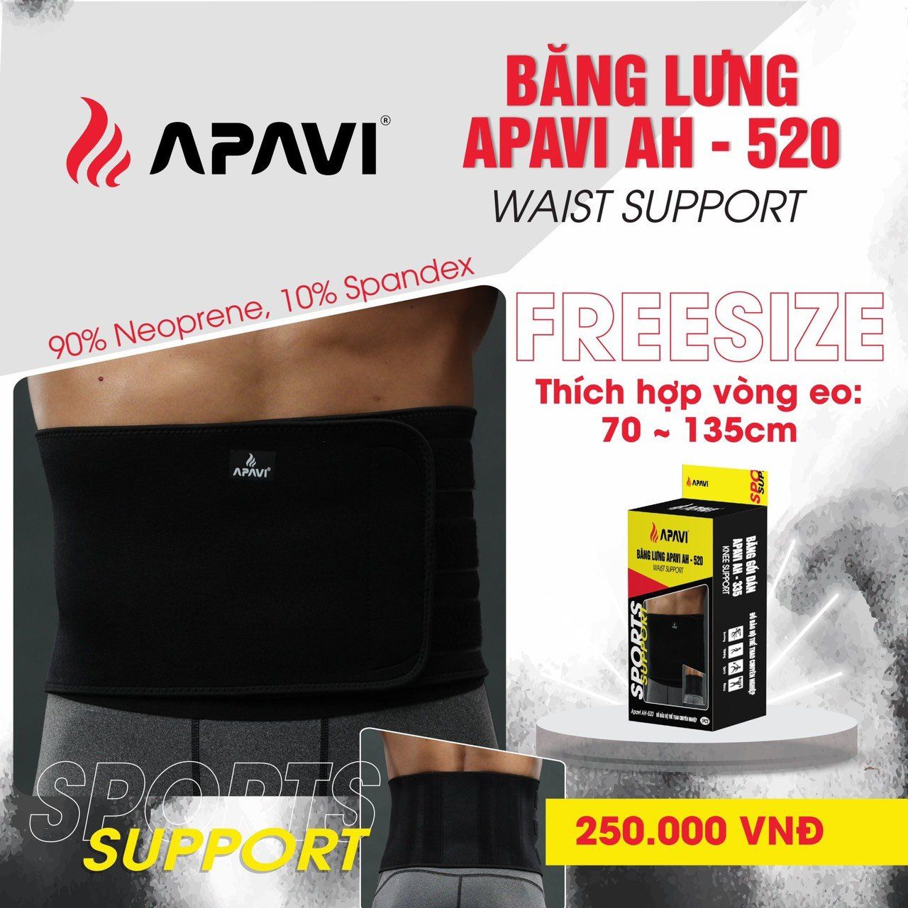 Đai bảo vệ lưng Apavi AH-520