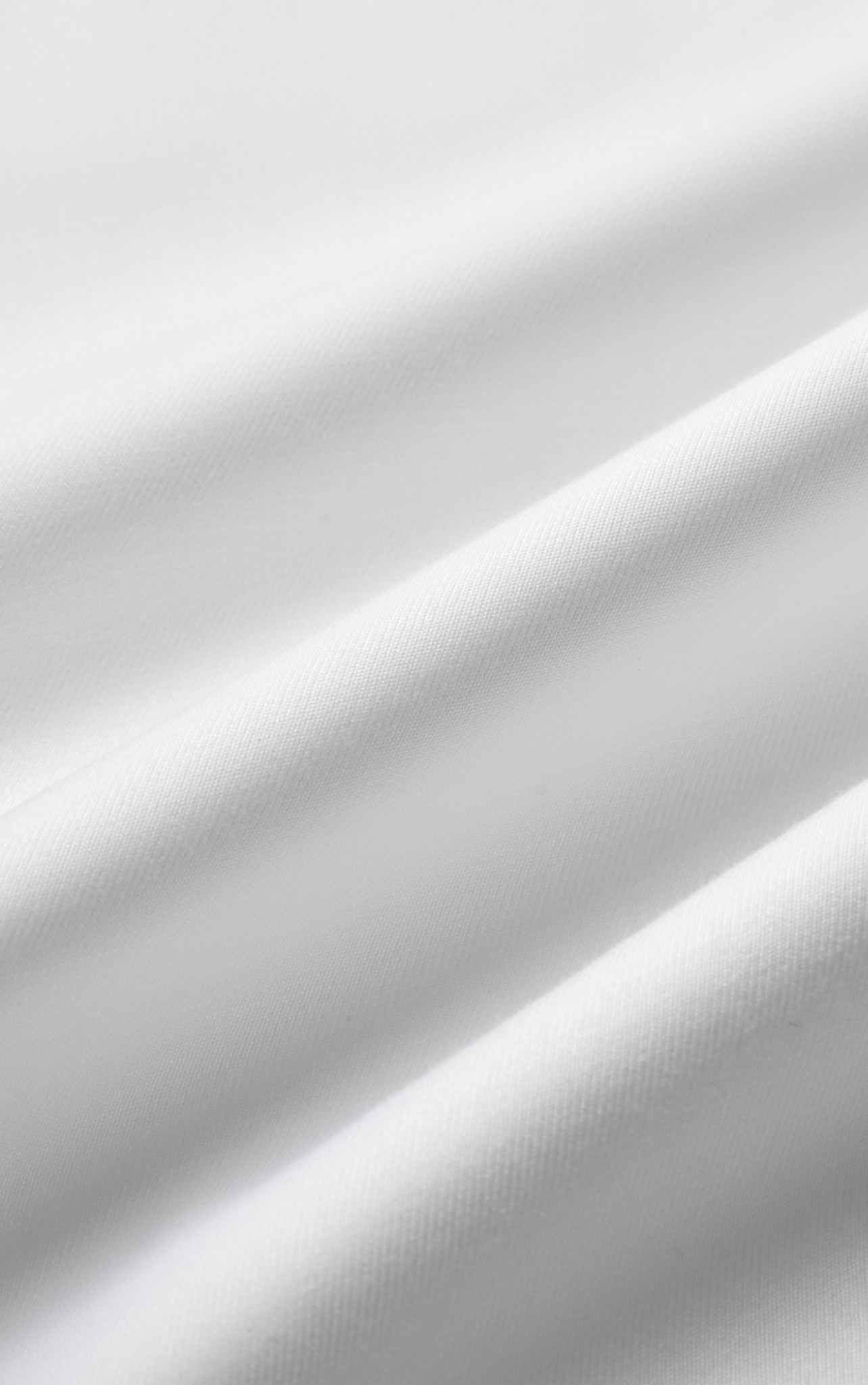 AG51 PREMIUM SLIMFIT SHIRT - WHITE