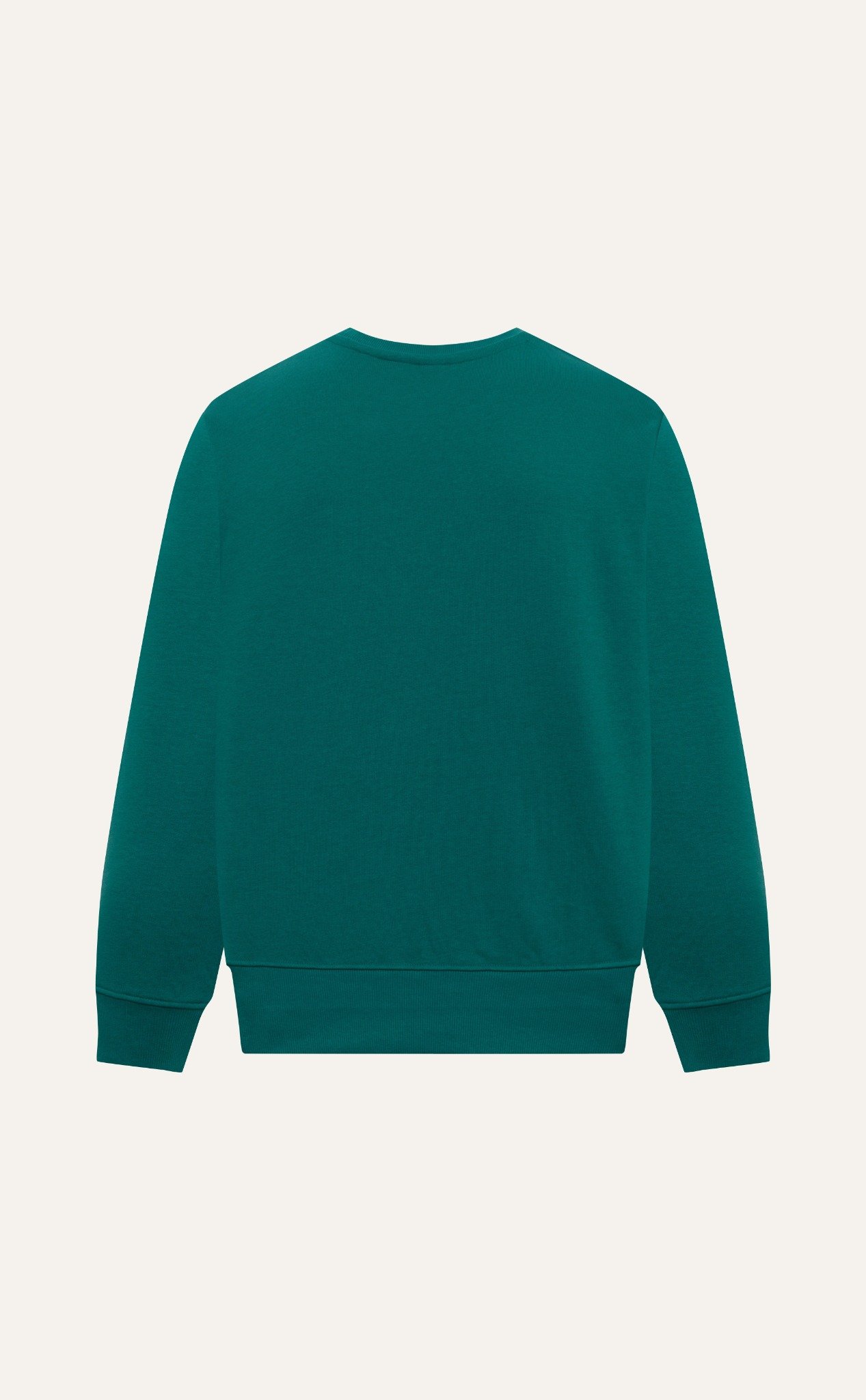 AG694 STUDIO OVERSIZE EMBROIDERED SWEATER - GREEN