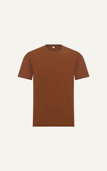  AG080 PREMIUM REGULAR FIT BASIC T-SHIRT - BROWN