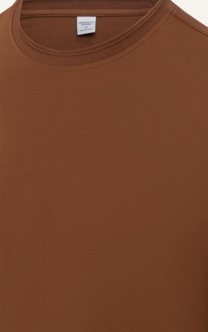 AG080 PREMIUM REGULAR FIT BASIC T-SHIRT - BROWN
