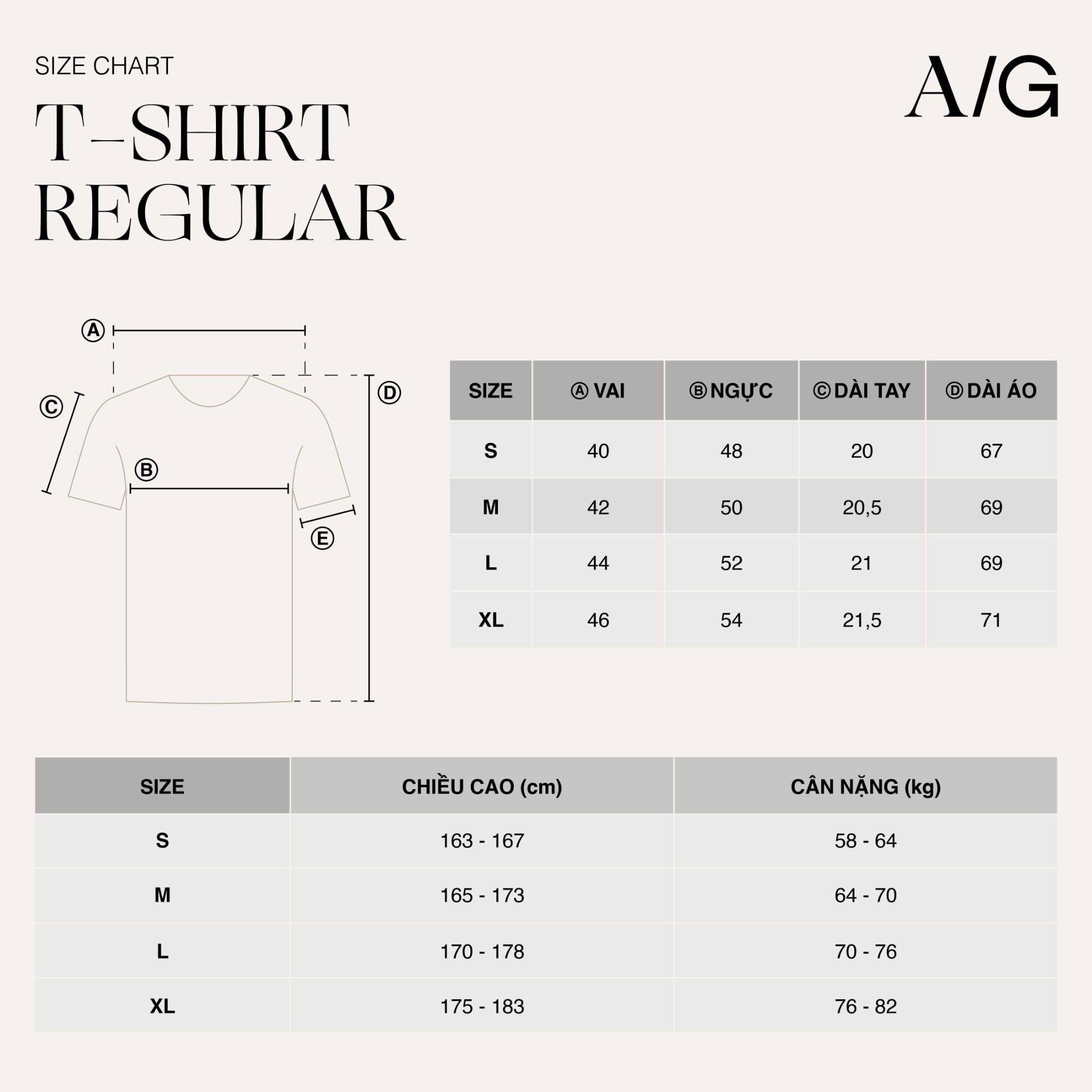 T736 STRIPED RIBBED-NECK T-SHIRT – BEGIE