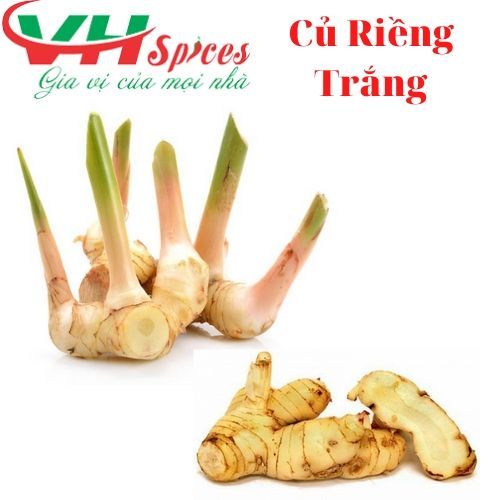 Củ Riềng Trắng Gia Vị Việt