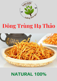  Đông Trùng Hạ Thảo 