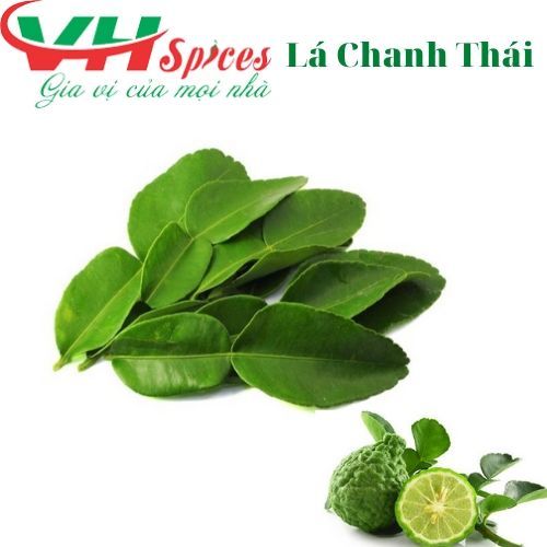  Lá Chanh Thái - Lá Trúc Tươi 