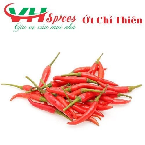 Ớt Chỉ Thiên Gia Vị Việt