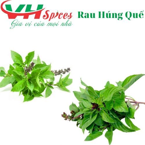 Rau Húng Quế Gia Vị Việt