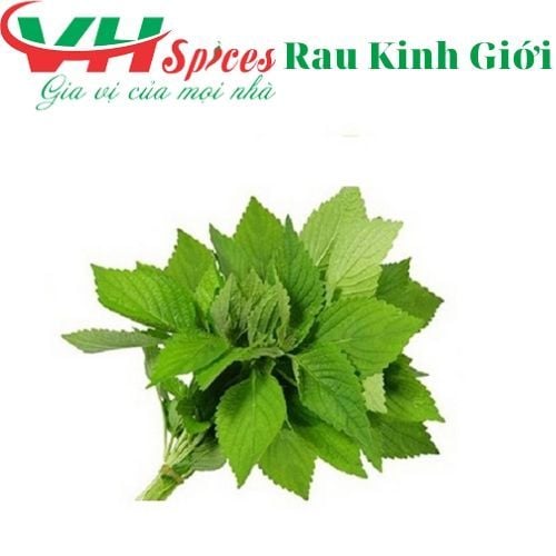 Rau Kinh Giới Gia Vị Việt