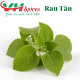  Rau Tần 