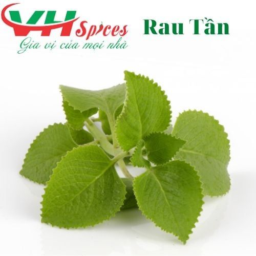 Rau Tần Gia Vị Việt