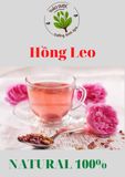  Hồng Leo 