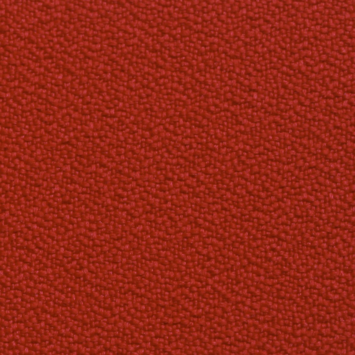  CAT 1141/13 - CHILLI 