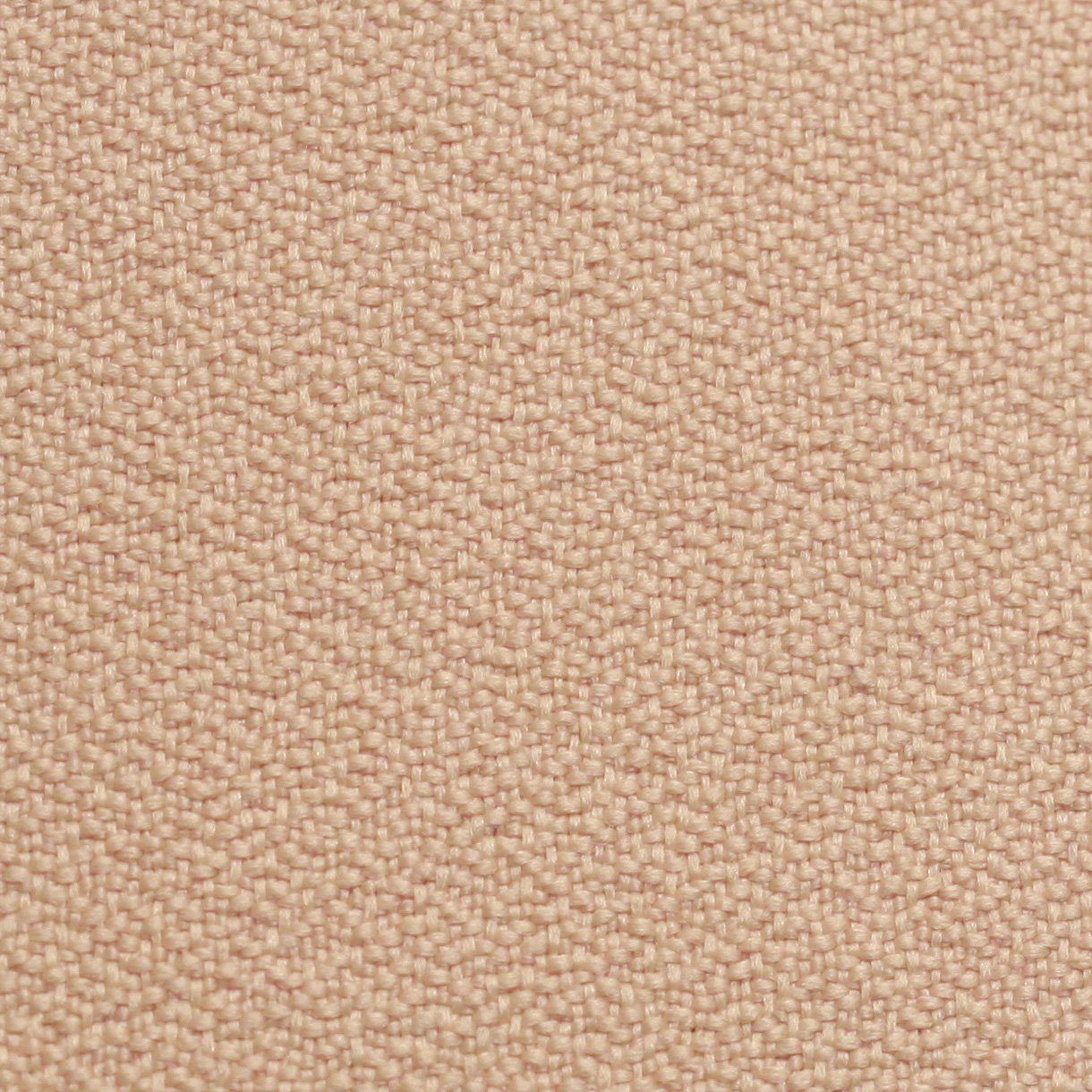  CAT 1141/03 - CREAMY 