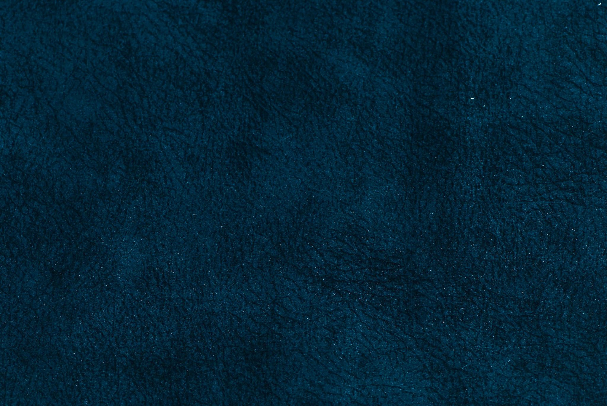  NAPOLI-KD1144-21 