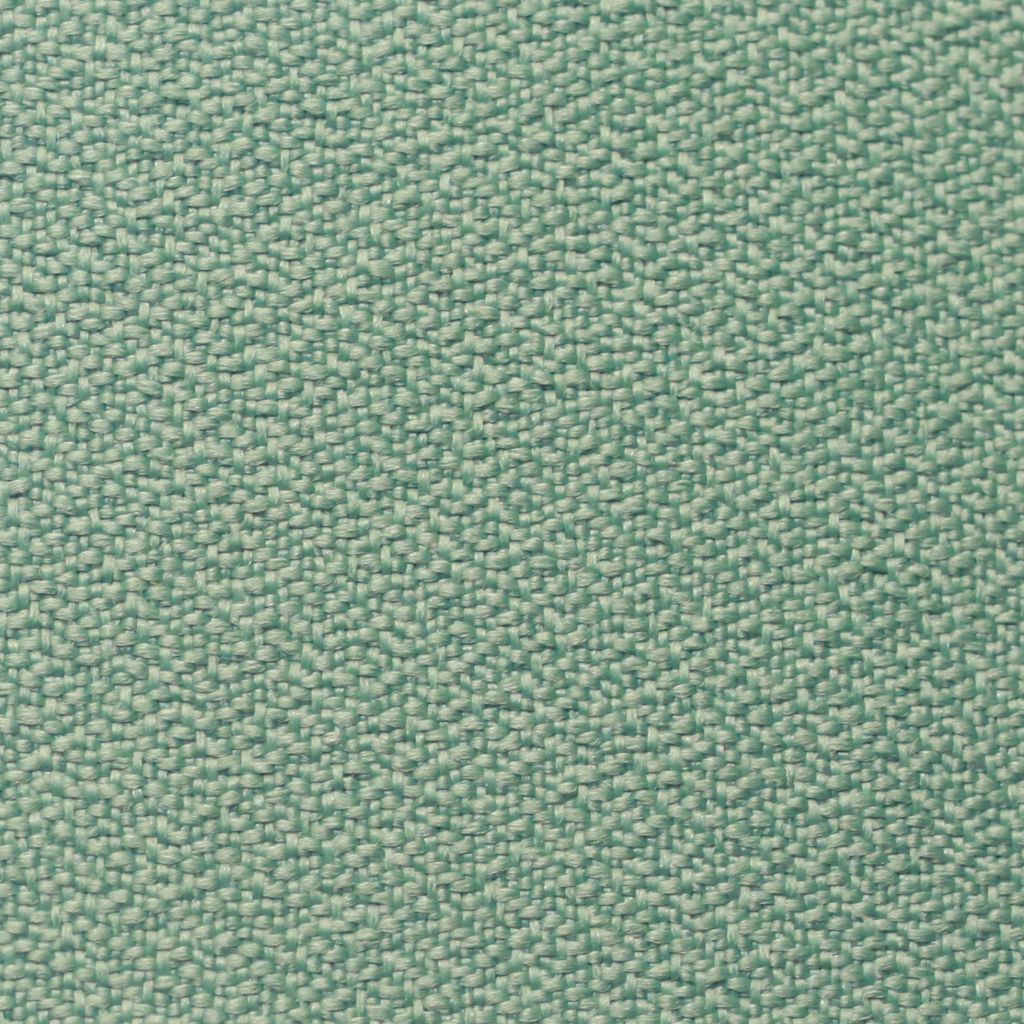  CAT 1141/33 - LICHEN 