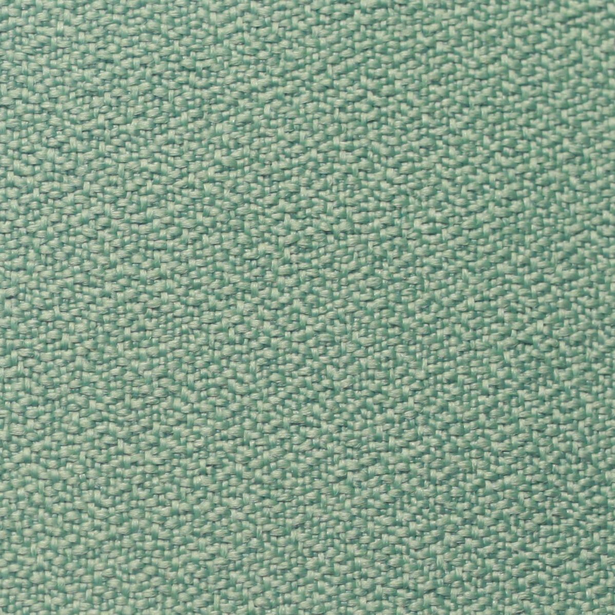  CAT 1141/33 - LICHEN 