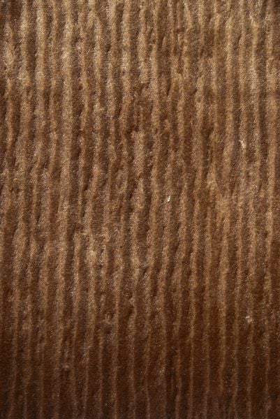  Luxy - V5214 
