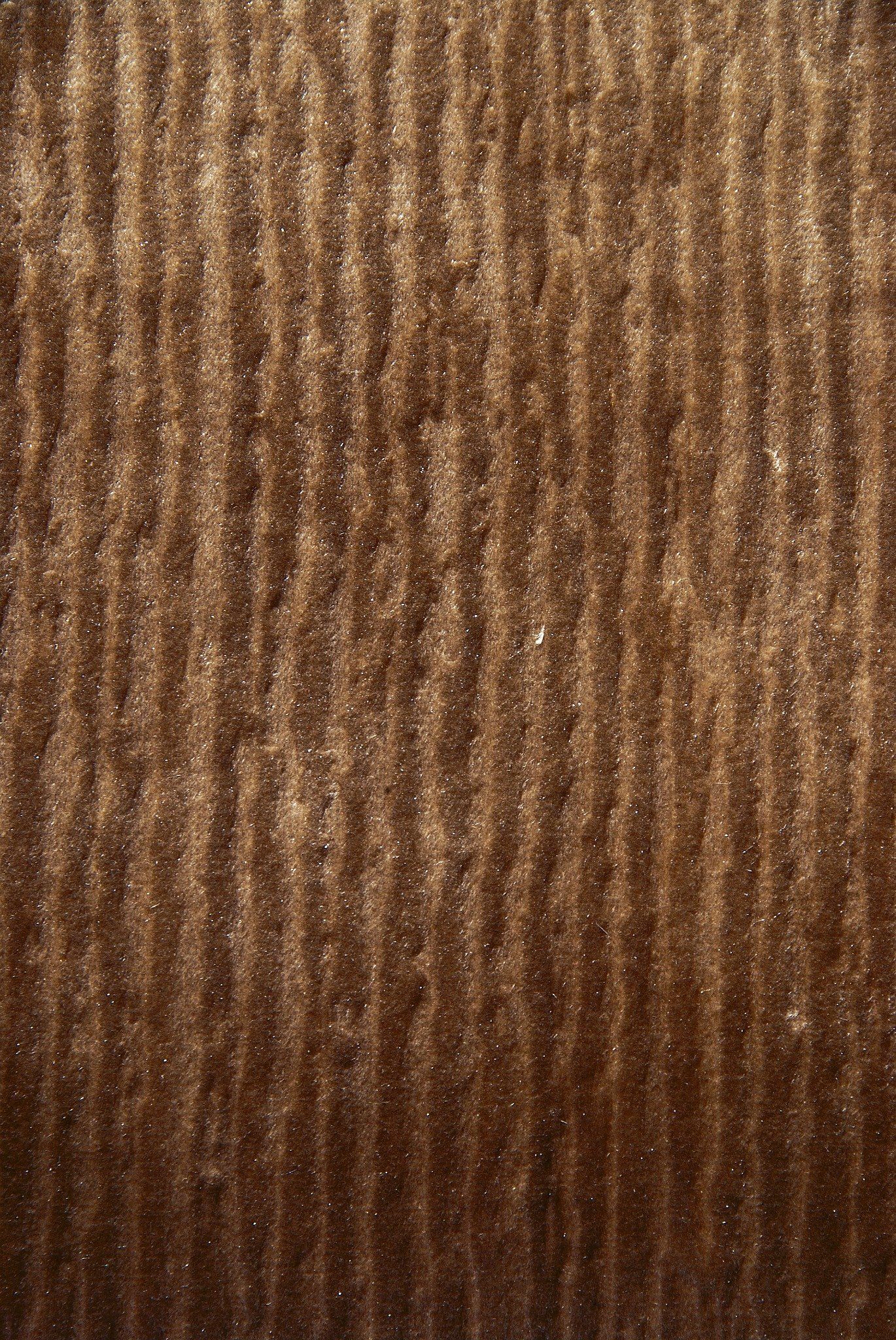  Luxy - V5214 
