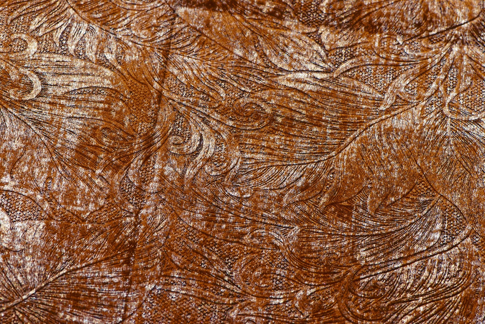  Luxy - V5254 