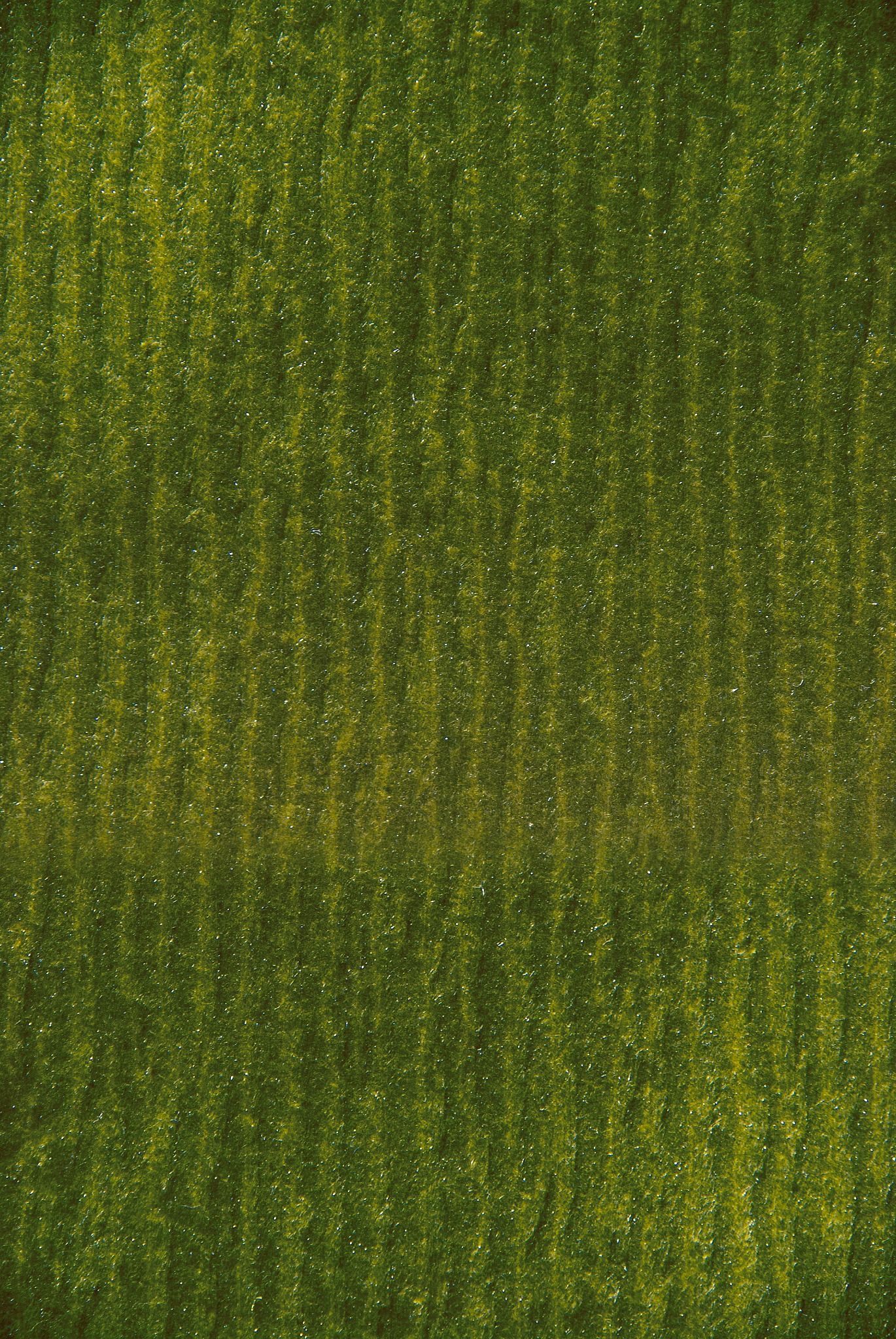  Luxy - V5259 