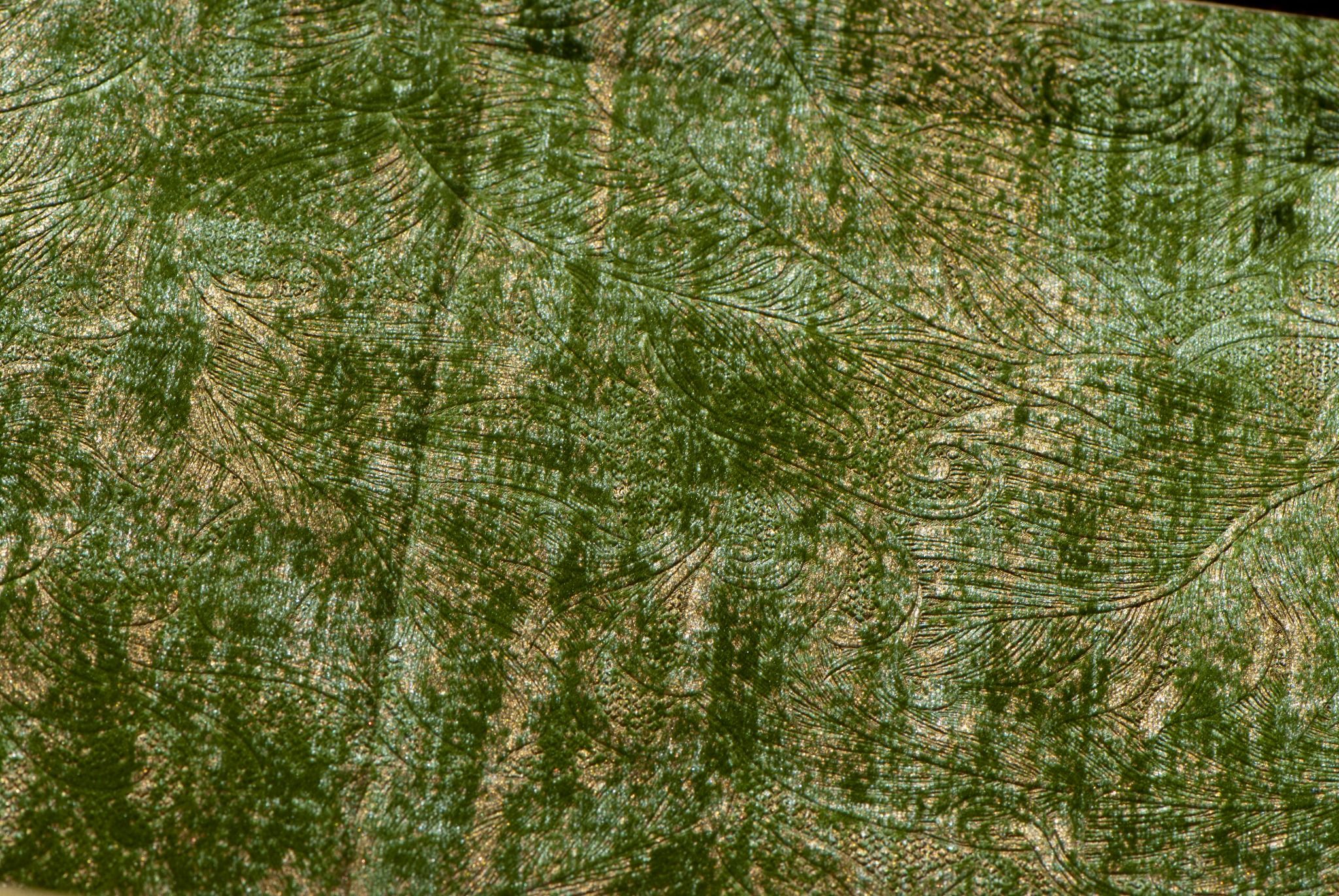  Luxy - V5263 