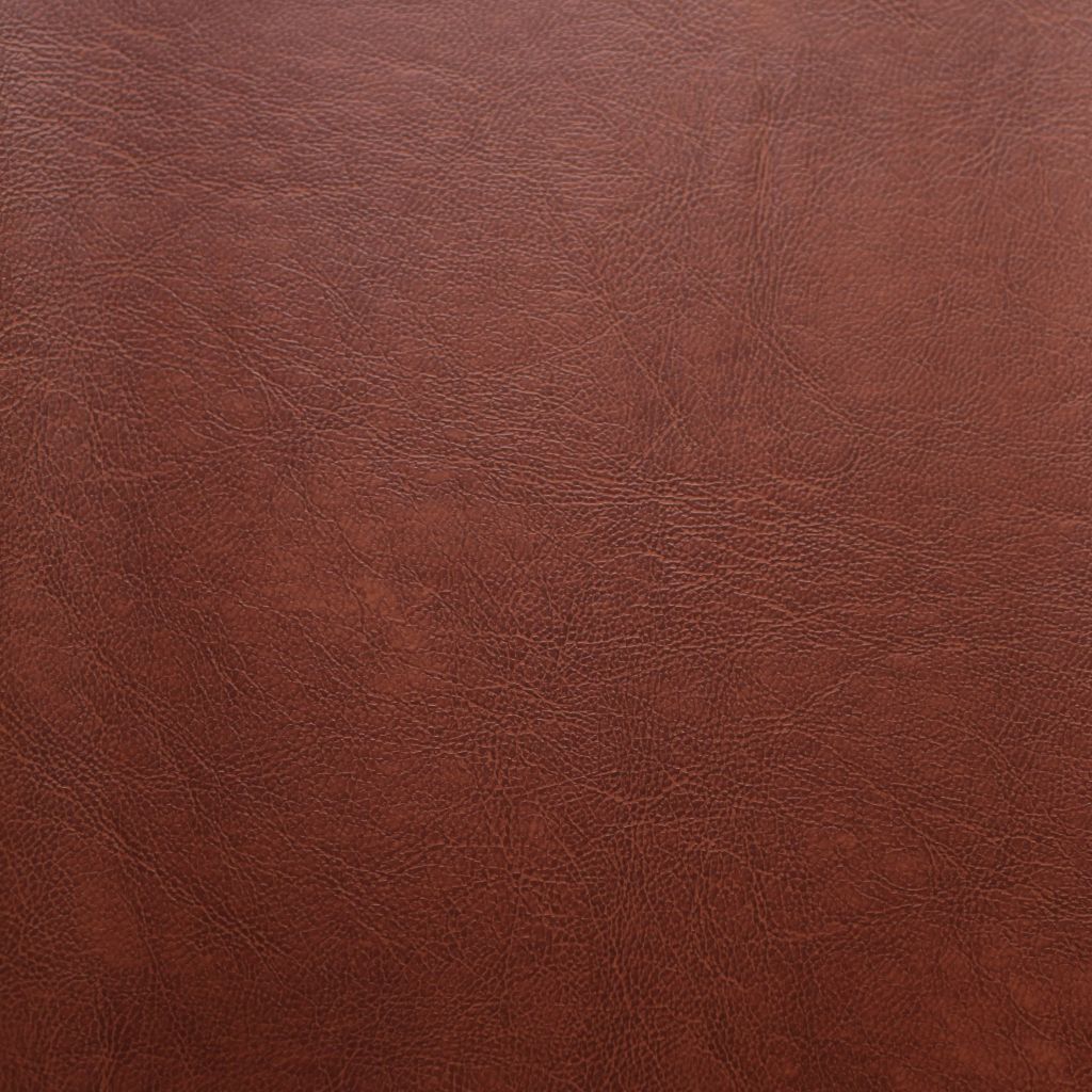  VANESSA-VANESSA-BROWN 