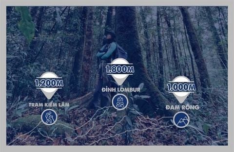 [ADVANCE] TREKKING ĐAM RÔNG - CON ĐƯỜNG BỊ LÃNG QUÊN