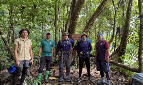 [ADVANCE] BORNEO TREKKING- JUNGLE OF BRUNEI