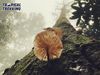 [ADVANCE] TREKKING ĐAM RÔNG - CON ĐƯỜNG BỊ LÃNG QUÊN