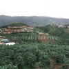 [HIKING] ĐƯNG K'NỚ/DONG KNOH - NGÔI LÀNG ẨN MÌNH TRONG SƯƠNG MÙ...