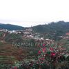 [HIKING] ĐƯNG K'NỚ/DONG KNOH - NGÔI LÀNG ẨN MÌNH TRONG SƯƠNG MÙ...