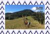 [ADVANCE] TREKKING ĐAM RÔNG - CON ĐƯỜNG BỊ LÃNG QUÊN