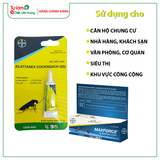 [COMBO DIỆT KIẾN+GIÁN] Maxforce Quantum Vs Blattanex Cockroch Gel, Tiết Kiệm Hơn