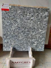 Gạch nền 60x60 Ceramic Bóng kính - BLĐT   615