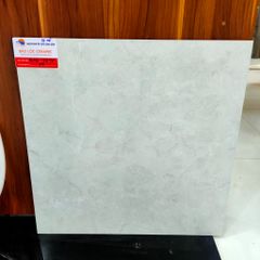 Gạch lát nền 50x50 - BLATP 501501