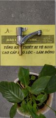 Vòi lavabo lạnh  - BLCA 609