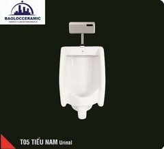 Bồn tiểu nam HC T05