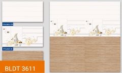 Gạch ốp  tường 30x60 - BLĐT VNA3611