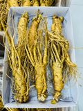  Sâm tươi Hàn Quốc nguyên củ size 3 tới 35 củ / kg TPCN 