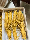  Sâm tươi Hàn Quốc nguyên củ size 3 tới 35 củ / kg TPCN 