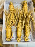 Sâm tươi Hàn Quốc nguyên củ size 3 tới 35 củ / kg TPCN 