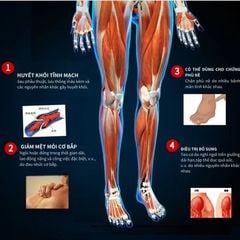 Máy nén ép trị liệu suy giãn tĩnh mạch chân Kachi MK394