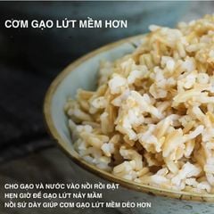 Nồi cơm điện lòng sứ dưỡng sinh Mishio MK365 chống dính tự nhiên trọn đời không bong tróc