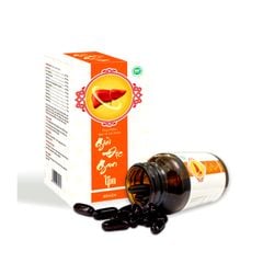 Thuốc bổ Gan GIẢI ĐỘC GAN TPN - TPCN hộp 60 viên x 3 hộp / liệu trình (180 viên)
