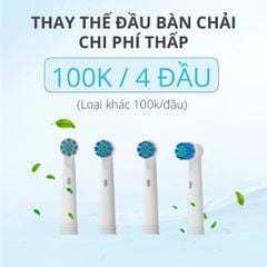 Bàn Chải Điện Đầu Xoay Tròn Kachi MK361