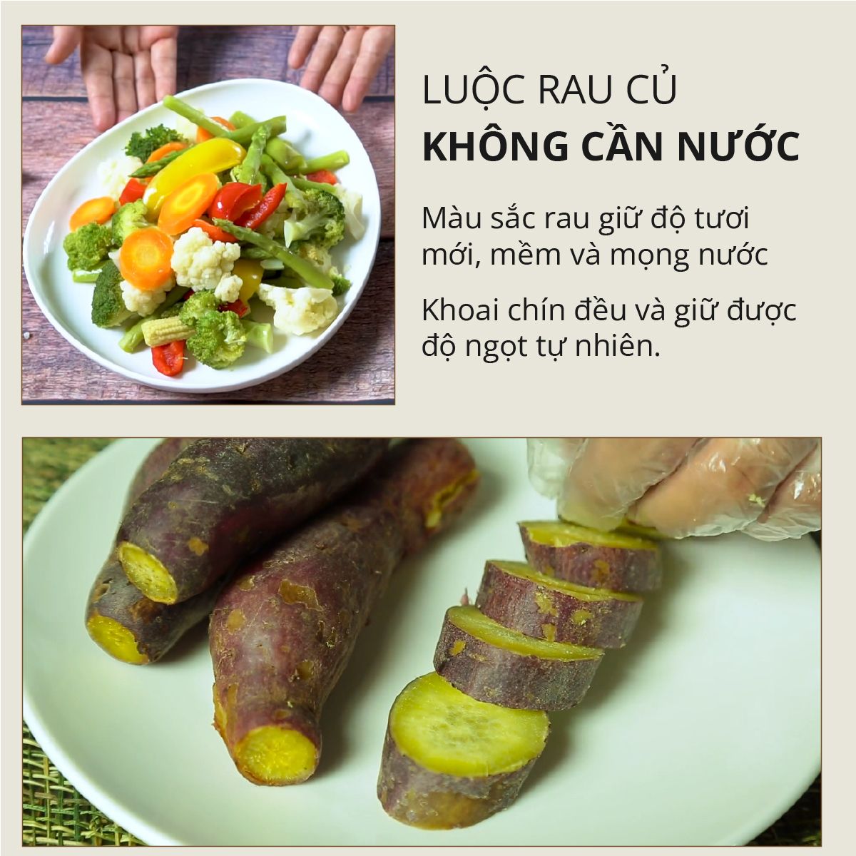 nồi cơm lòng sứ mishio mk365