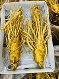  Sâm tươi Hàn Quốc nguyên củ size 3 tới 35 củ / kg TPCN 