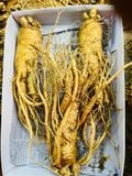  Sâm tươi Hàn Quốc nguyên củ size lớn 3 củ 1 kg LOẠI 1 TPCN 